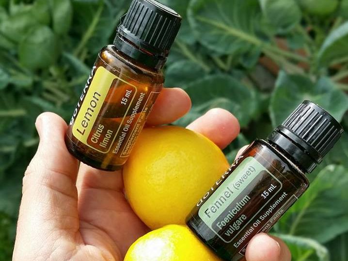 Lemon Essential Oil and Your Health