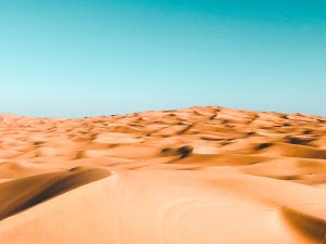 The Carer of the Deserts of Time | A QHHT Session Summary